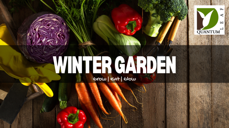 Tropical winter food garden planner